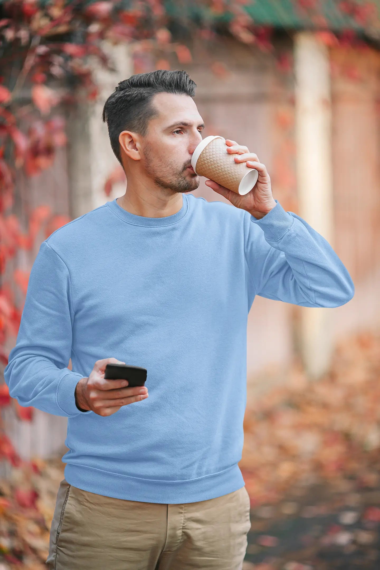Premium Plain Sweatshirt Baby Blue