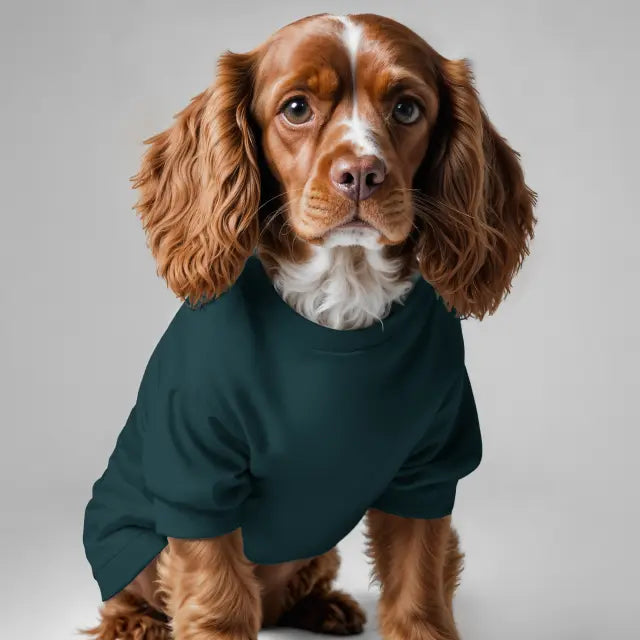 Dog T-Shirt – Comfort & Style for Your Furry Friend
