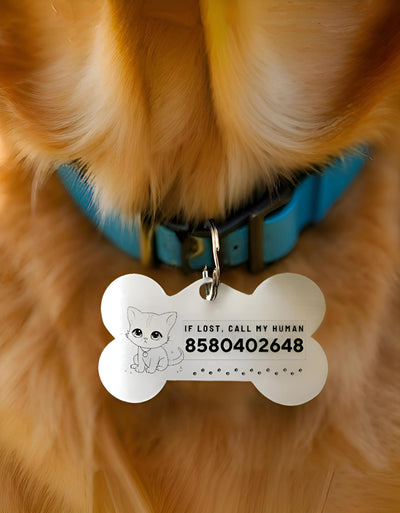 Stainless steel pet ID tag with custom engraving – personalized Cat tag with name and contact number