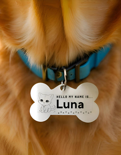 Stainless steel pet ID tag with custom engraving – personalized Cat tag with name and contact number India